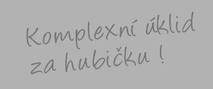 Kompletní úklid za hubičku